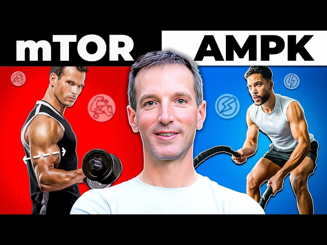 The Role of mTOR and AMPK in Aging: Things you SHOULD Know