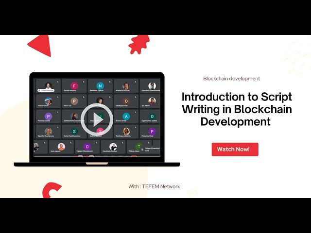Introduction to Script Writing in Blockchain Development  | TEFEM Africa Fellowship 2024