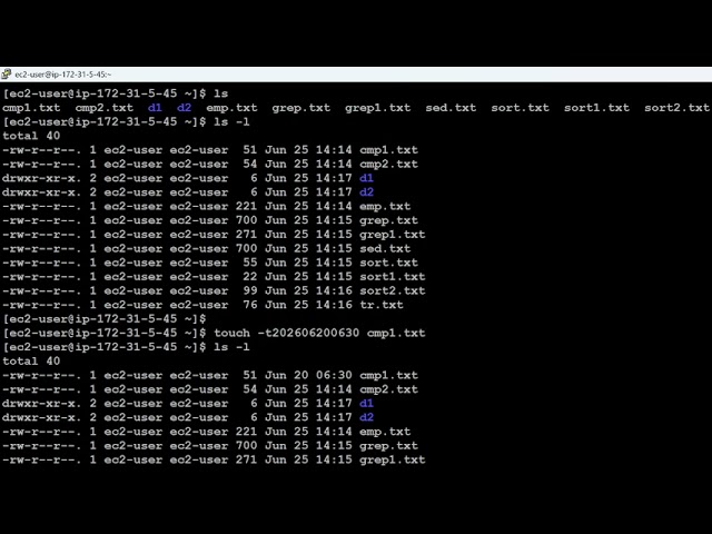 Linux ls Command and Options Explained | ls -l, -a, -h, -t, -r | Practical Examples