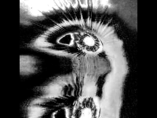prodbyrl - cryptic (slowed)