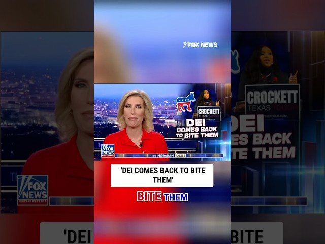 They say ignorance is bliss: Laura Ingraham #shorts #foxnews #politics