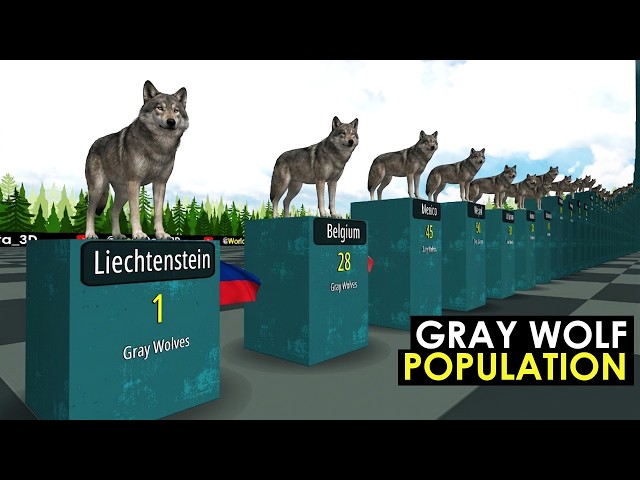 Gray Wolf Population by Country 2026