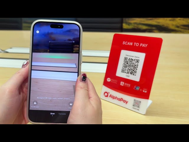 Demo: Using the Alphapay Merchant QR Code with Wechat Pay | Scan to Pay