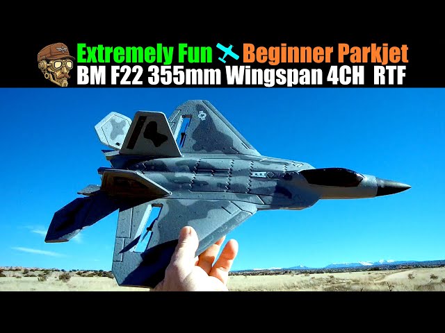 Extremely Fun Beginner Parkjet! BM22 F22 355mm 4CH 6G|3D Twin Motors Gyro RTF