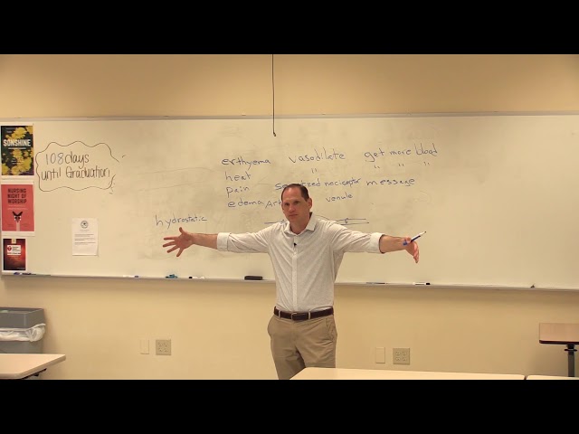 Inflammation and Immunity pt 1 | Nursing | Pathophysiology Pharmacology 1