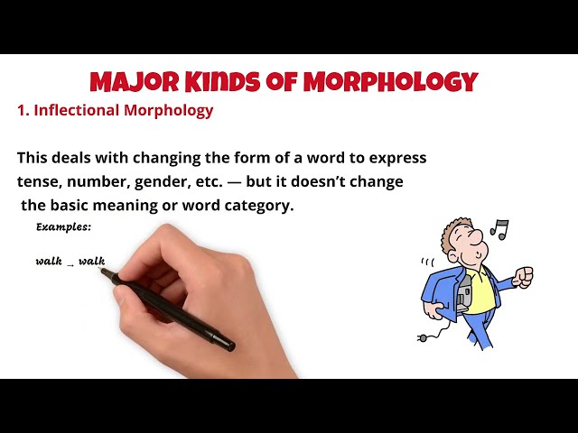 Morphology in Linguistics : Morphology kinds : Morphological Process #bsenglish Morpheme