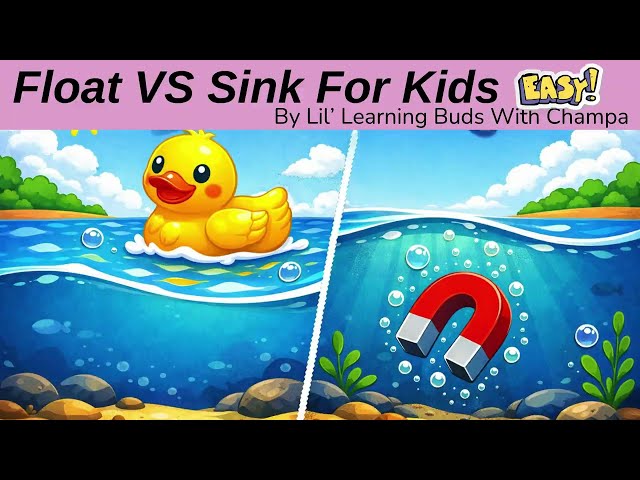 Float vs Sink: Fun Density Experiments for Kids! Learn Molecules & Density the Easy Way!