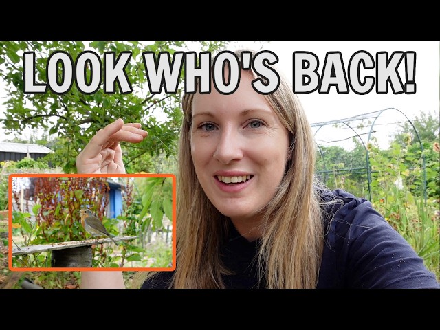 LOOK WHO CAME BACK!! / EMMA'S ALLOTMENT DIARIES