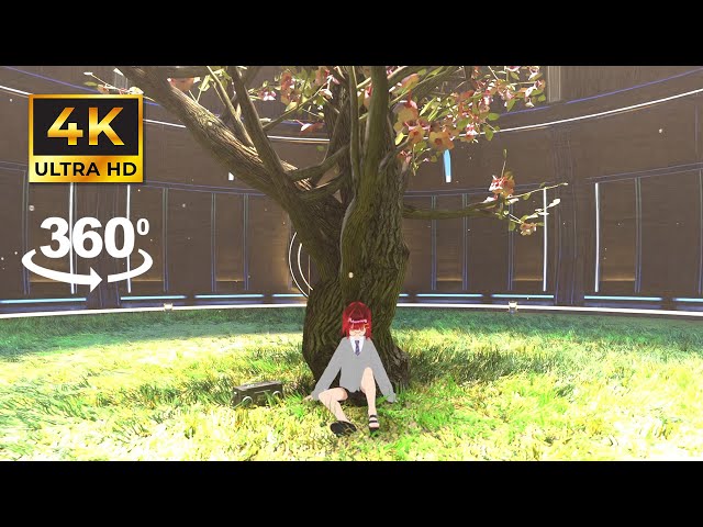 【Chill Lofi ☕️ 】/ 360 VIDEO 4K