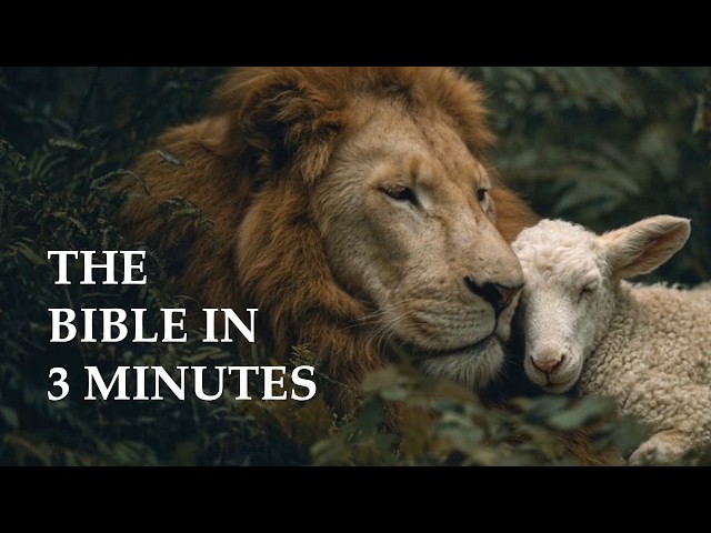The Bible in 3 Minutes