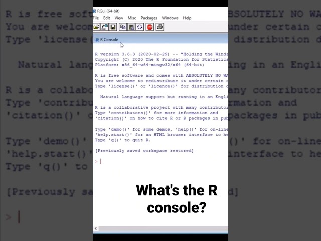 What is the R console?