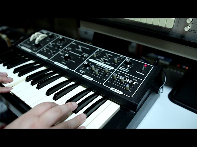 "Hungry" (Moog Rogue + Rhythm Ace)