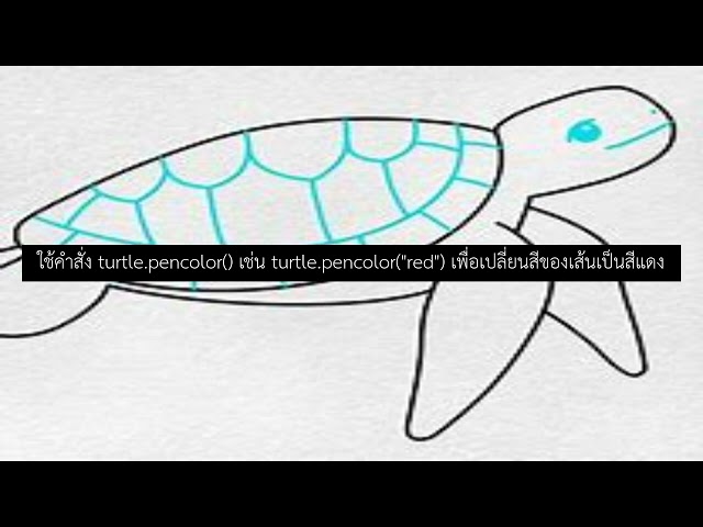 จะเปลี่ยนสีของเส้นที่ turtle วาดได้อย่างไร