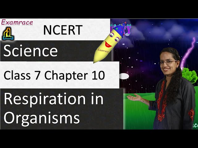 NCERT Class 7 Science Chapter 10: Respiration in Organisms (NSO/NSTSE) | English