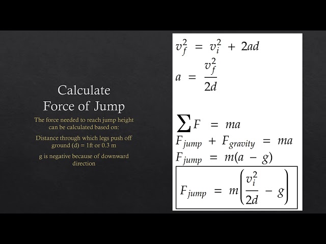 Motion Analysis Presentation 11/18/2024