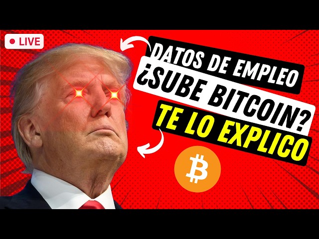 🔴 EN DIRECTO: ¿Qué pasa con el precio de Bitcoin HOY? ➤ Análisis detallado del mercado