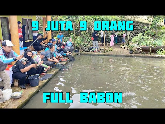 WHOLESALE FISHING WITH FULL BABON!! GURAME & PATIN SPECIAL NEW YEAR 2024 | PRICE 9 MILLION FOR 9 ...