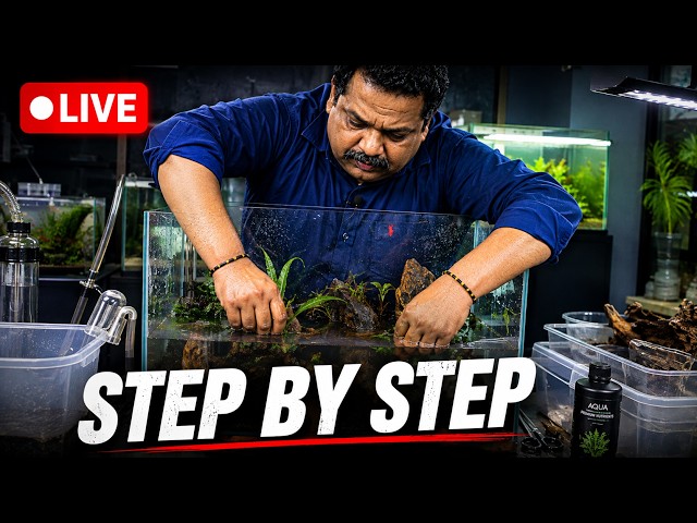 Live Tank Build — Hamburg Matten Filter, Moss Gel & Scape Banana