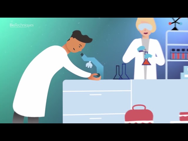 Detection of cell proliferation