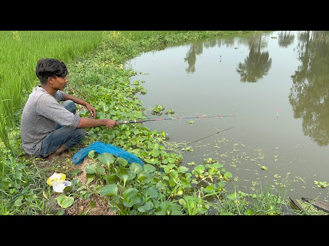 Hook Fishing Video ~ Traditional Hook Fishing 🎣🐟 Village Daily Life (Part-475)