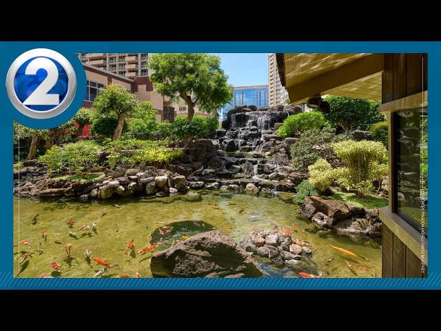 Honolulu's Pagoda Hotel gets a fresh new look