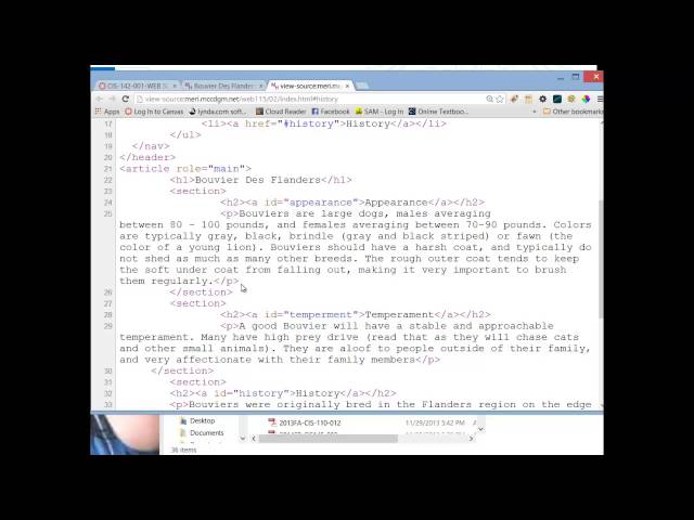 HTML & CSS - Lab 02 - HTML Structure
