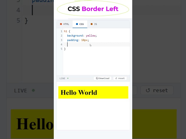 How to add Border Left in CSS #coding #htmltutorial #csstutorial