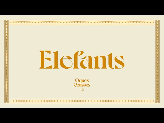 OQUES GRASSES - ELEFANTS