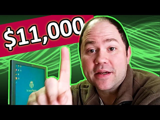 How I Made $11,000+ Selling ONE WordPress Plugin