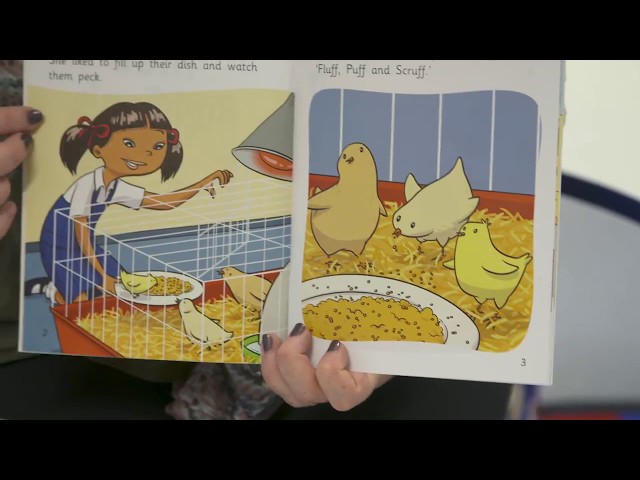 Cambridge Reading Adventures: Guided Reading Tutorial - Strategy Check