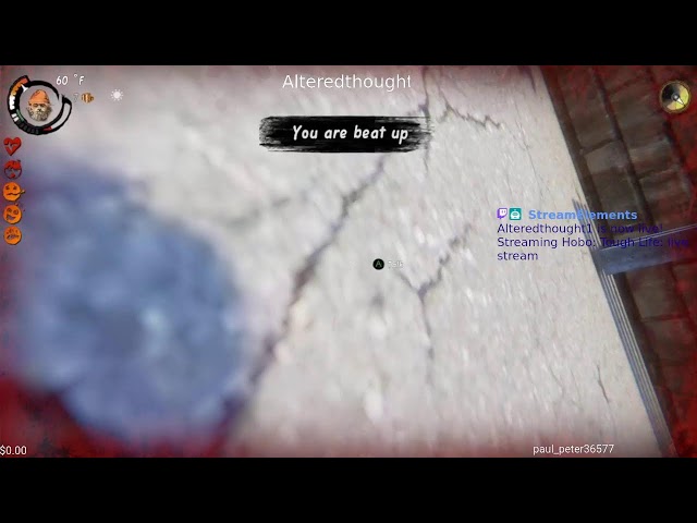 live stream