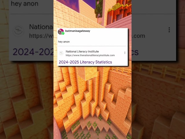 2024 literacy statistics