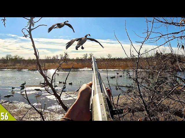 WIND Got the GEESE In! (Limited Out) | Late Season Goose Hunt