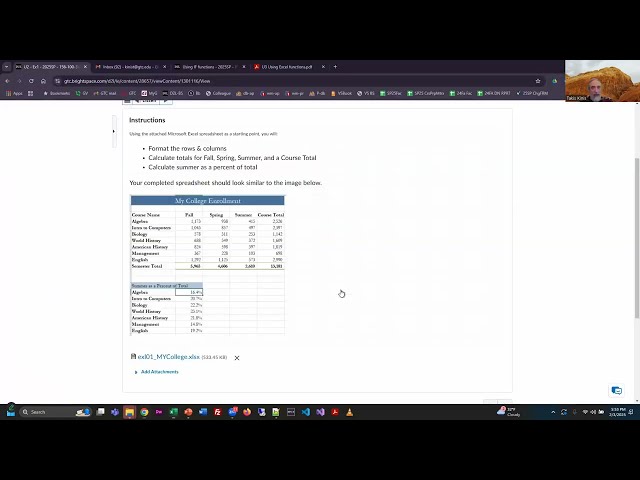 Data Analytics 1 - Unit 2 Excel Exercise Solutions - Spring 2025
