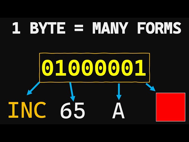 A Byte Can Be Anything