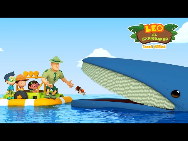 Ballena Jorobada 🐋 | Leo, El Explorador Episodio | Animación | Familia | Niños #compilation