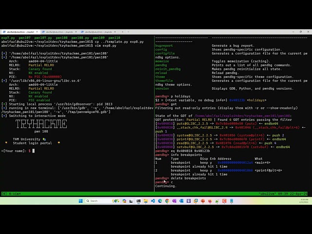P08-05) TryHackMe pwn101 level7 - changing GOT by format string [PER]