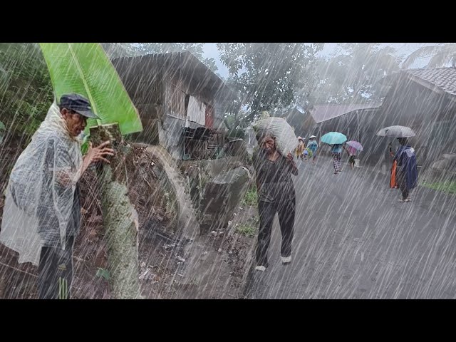 Super Rain and Extreme Strong Winds in Java Rural Life | Heavy Rain Very Cold to Sleeping | Relaxing