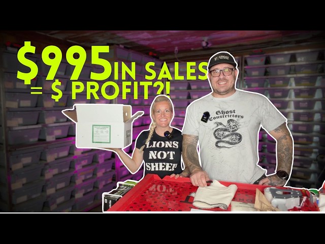 We Shipped $995 in Ball Pythons… Here’s What We Actually Made