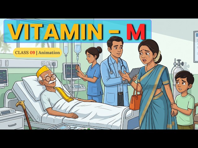 Vitamin M Class 9 Kaveri | Class 9 English Chapter 4 Full Animated Explanation
