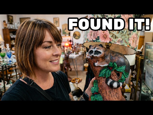 What Can We Find?