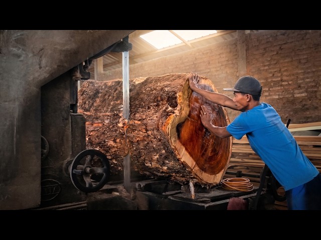 Inside the World's Biggest Sawmill | Sawmills in Action Cutting Giant African Blackwood Logs