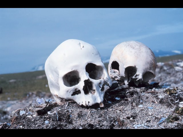 Forensic science | Wikipedia audio article
