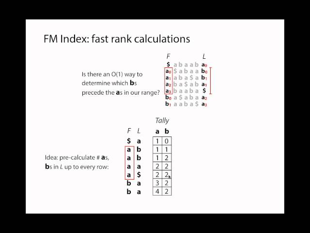 FM Index