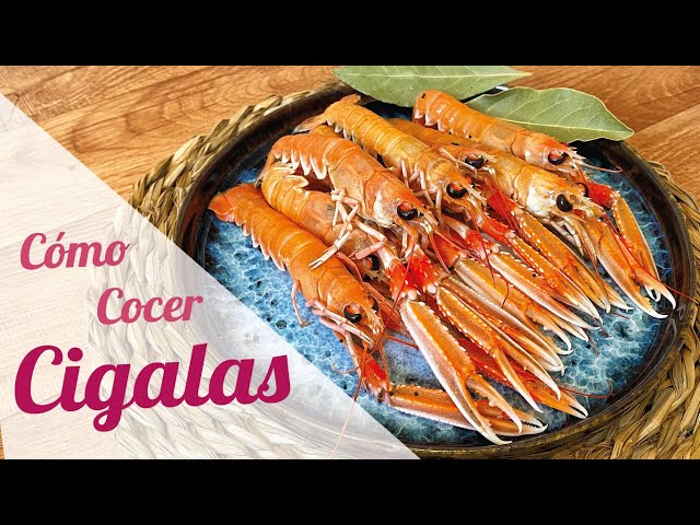 HOW TO COOK SCAMPI (COOKING TIME) EASY AND FAST