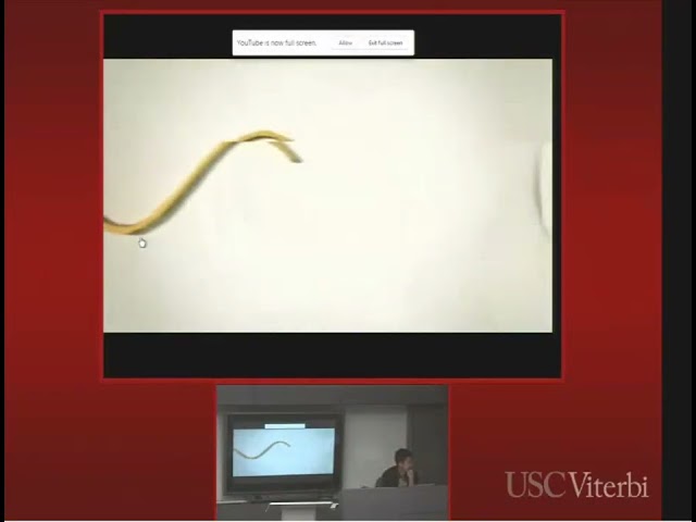 EE 569 Introduction to Digital Image Processing Fall Oct, 11 2019 Lecture 13