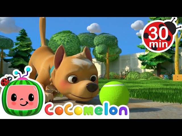 My Dog Song 30 MIN  LOOP | Karaoke Nursery Rhymes & Kids Songs - CoComelon