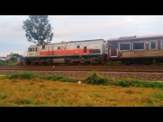 KERETA API ‼️NONTON KERETA SUPER MEWAH JAVA PRIORITY LEWAT TAMAN RASAM