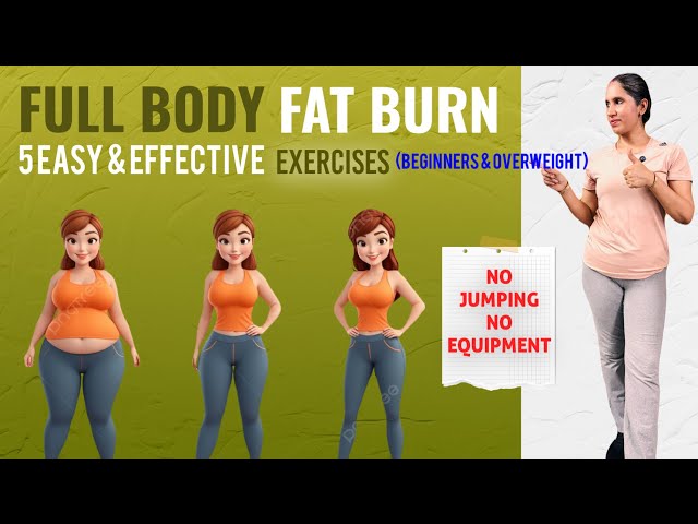 Full Body Fat Burn Home Workout | 5 Simple Exercises | No Jumping l Beginner & Overweight Friendly