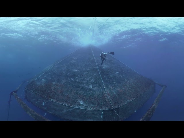 Innovasea SeaStation in Immersive 360° VR